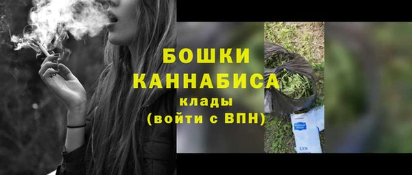 не бодяженный Ладушкин