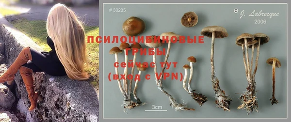 мефедрон мука Данков
