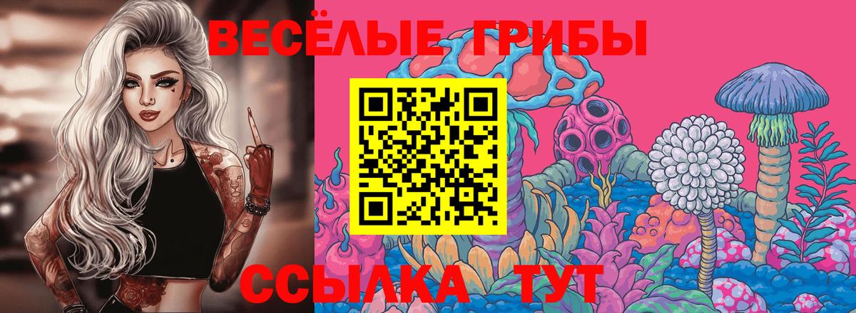 Галлюциногенные грибы Psilocybe  Псилоцибиновые грибы Magic Shrooms  Лыткарино 