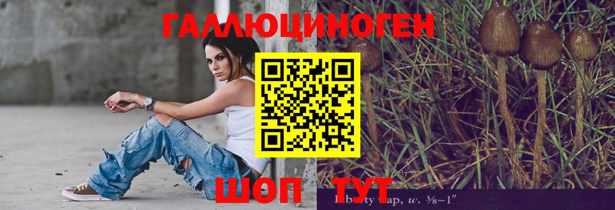 Псилоцибиновые грибы прущие грибы  Вход с VPN  Лыткарино 