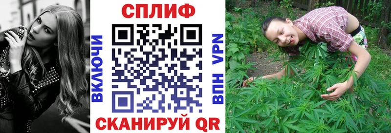 купить наркоту  Лыткарино  Бошки марихуана White Widow 